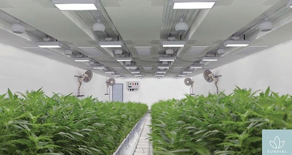 Sundial Growers expanding its Olds cannabis cultivation facility