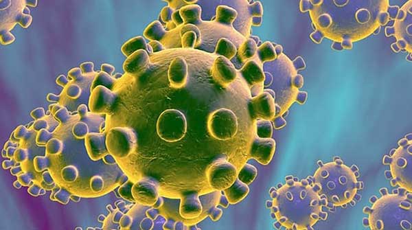 We must attack the coronavirus at its root