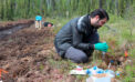 How changes in ancient soil microbes could predict Arctic future How changes in ancient soil microbes could predict Arctic future