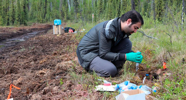 How changes in ancient soil microbes could predict Arctic future