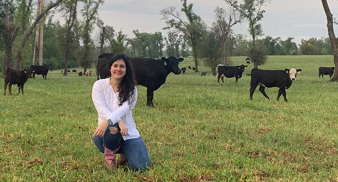 New research to fill a critical gap in beef production system