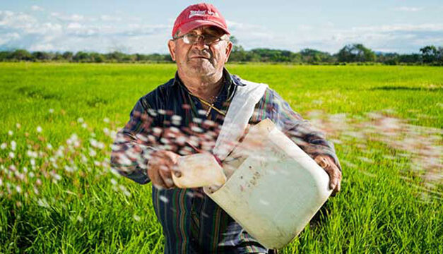 Research aims to boost mental health support for farmers