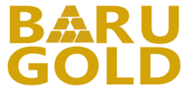 Baru Gold Signs Second Contractor for Production Operations