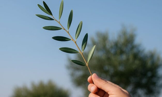 From Gaza to Paris, women are leading where men fail