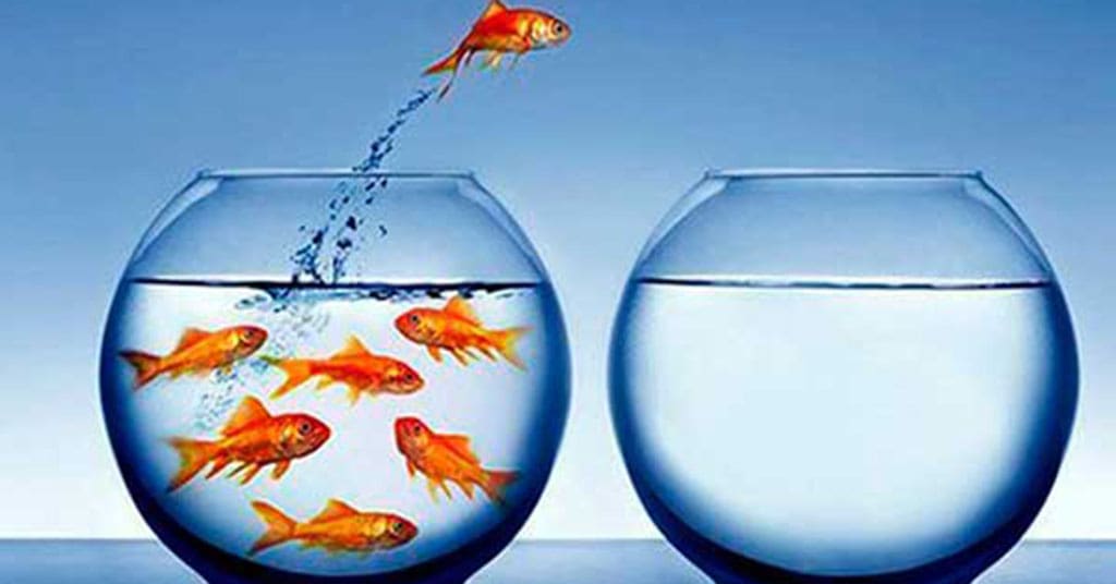 If you don’t stand out, you won’t get hired